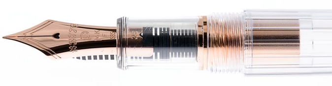 Platinum Century #3776 14kt Medium Nib Fountain Pen-Nice Rose