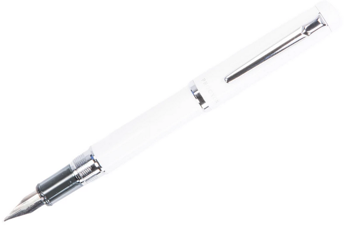 Platinum Procyon Fountain Pen